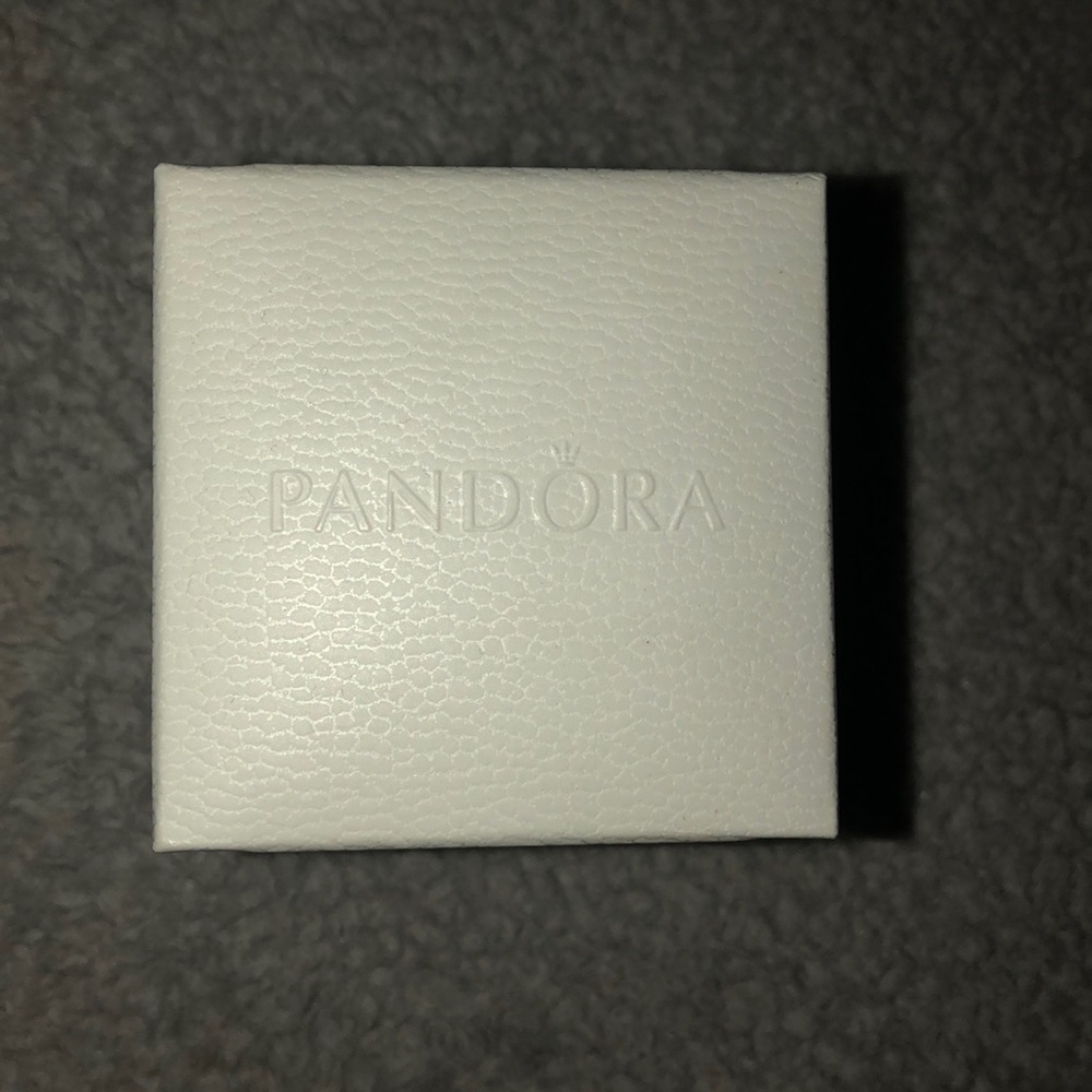 Pandora Charm